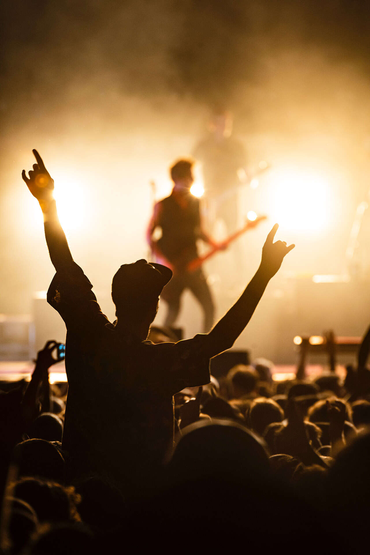 Concert goers with hands in air facing stage